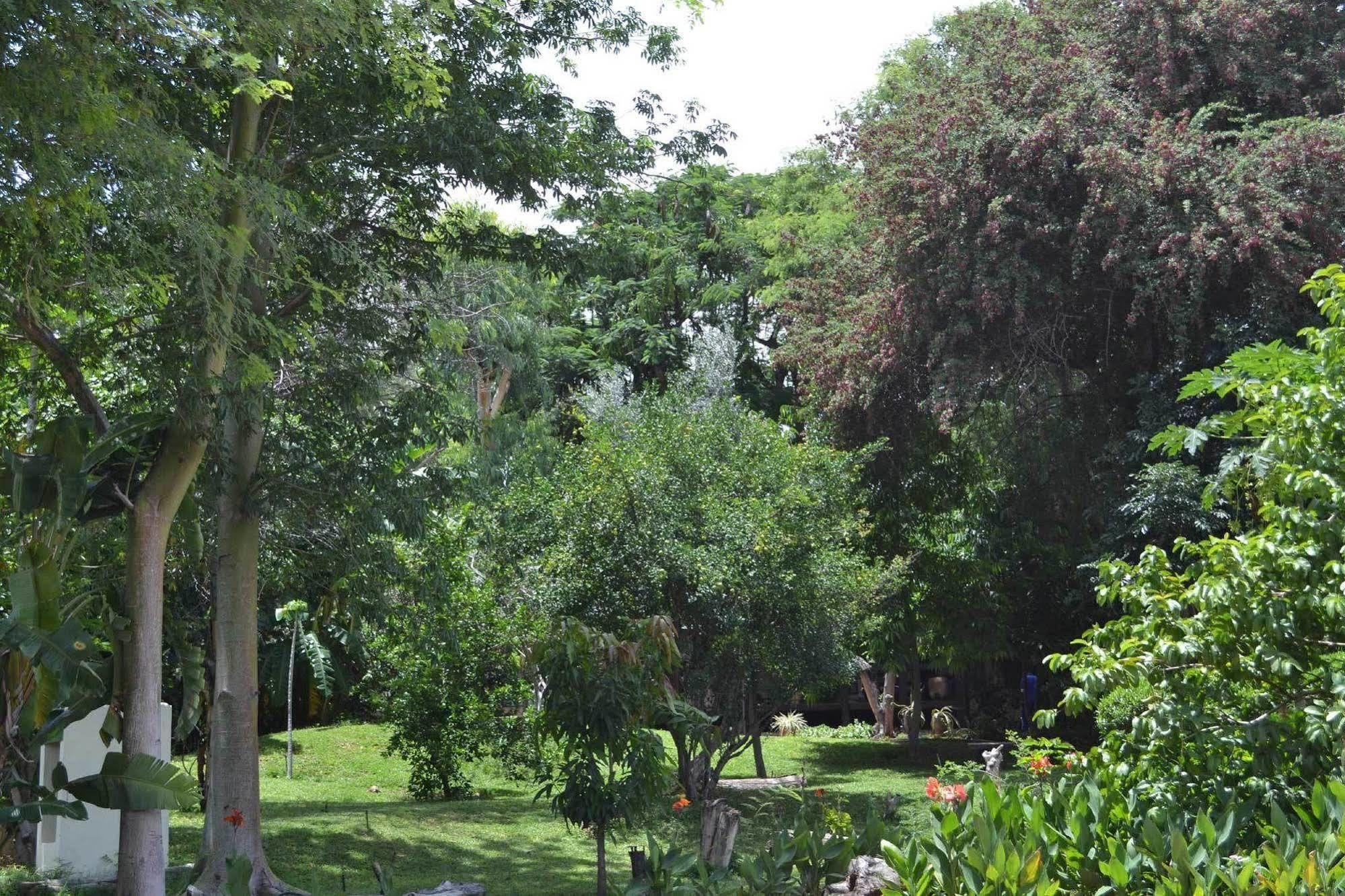 Tambuti Lodge Rundu Exterior foto